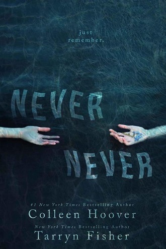 never never book colleen hoover