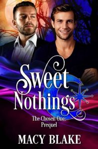 Double or Nothing by Macy Blake