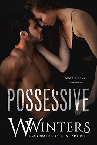 possessive by willow winters