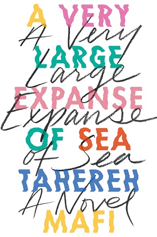 a very large expanse of sea ending