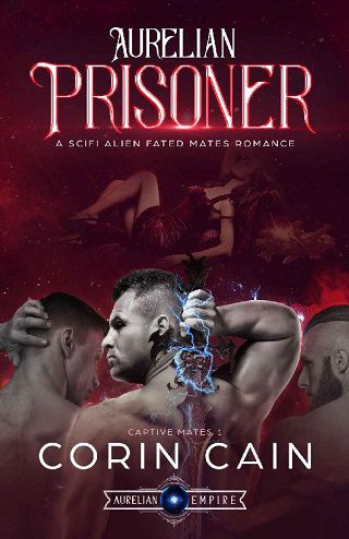the prisoner by omar shahid hamid pdf download