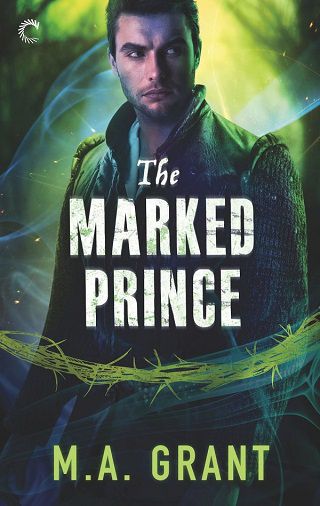 Prince of Air and Darkness by M.A. Grant