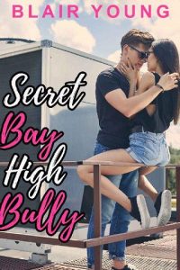 secret bay, blair young, epub, pdf, mobi, download