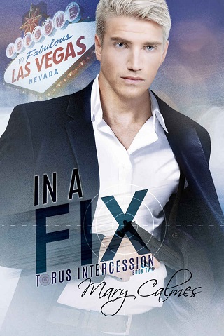 The Big Fix by Mary Calmes