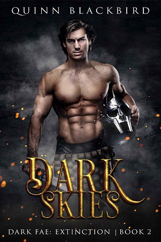 The Dark Fae Books 4 - 5 by Quinn Blackbird