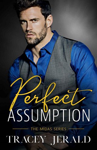 ebook perfect assistant fake