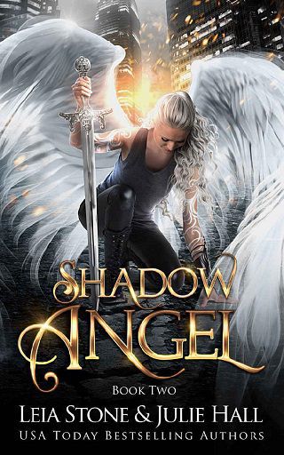 Shadow Angel #2 by Leia Stone (ePUB) - The eBook Hunter