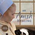 amish healing beth wiseman